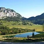 Mountain View Apartament