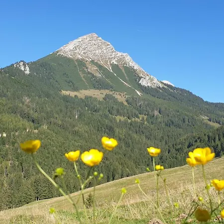 Mountain View Spital Am Pyhrn