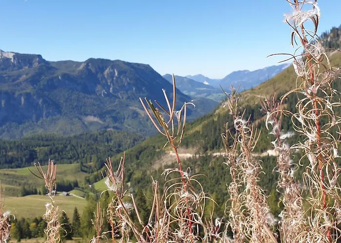 Appartement Mountain View Spital Am Pyhrn