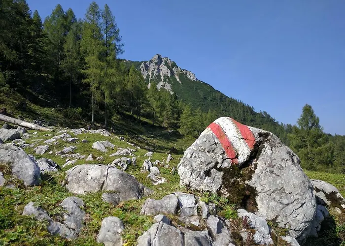 Mountain View Appartement Spital Am Pyhrn