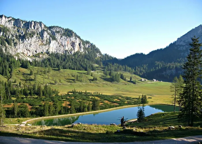 Mountain View Апартаменты