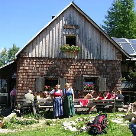 Mountain View *