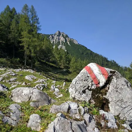 Mountain View Lägenhet Spital Am Pyhrn